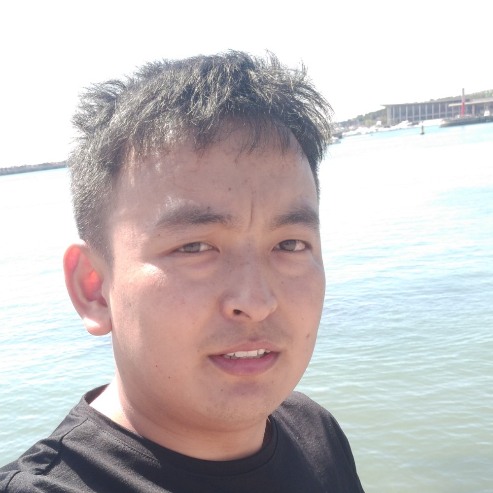 小鸽子迎大力的照片