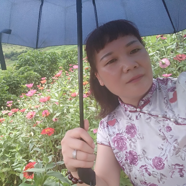 知性等待金毛的照片