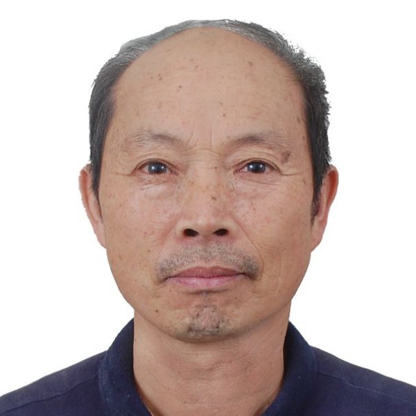 电灯胆贤惠的照片