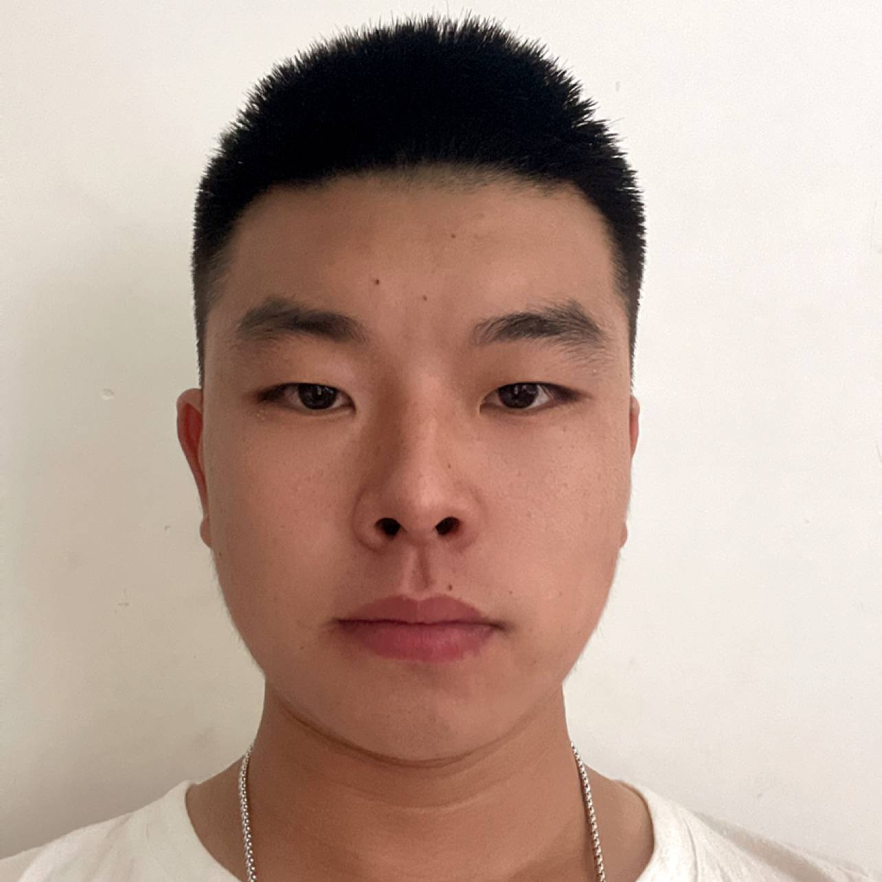 柠檬演变和谐的照片