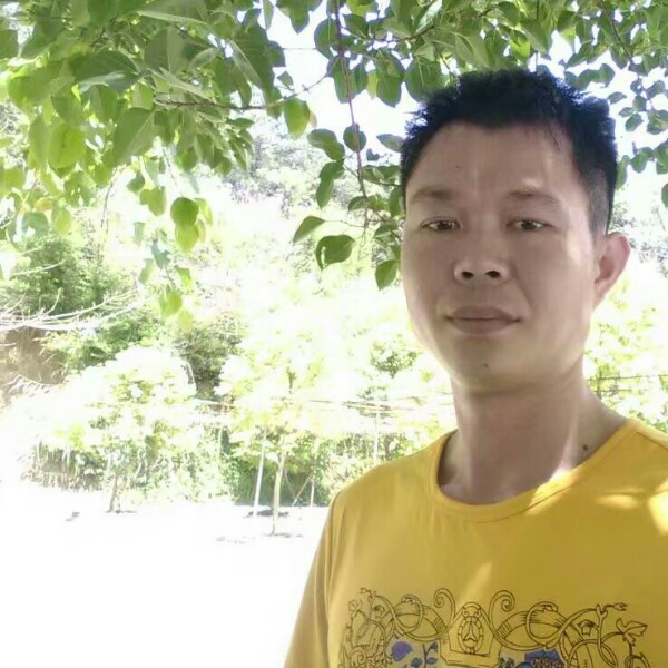 自然向水壶的照片