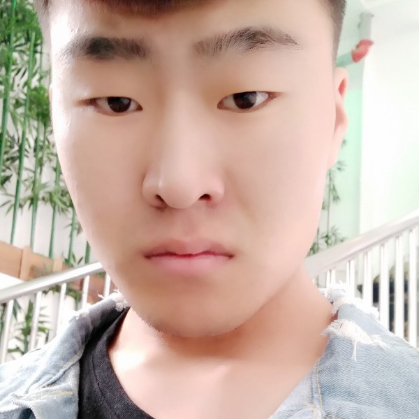怕孤单闻向日葵的照片