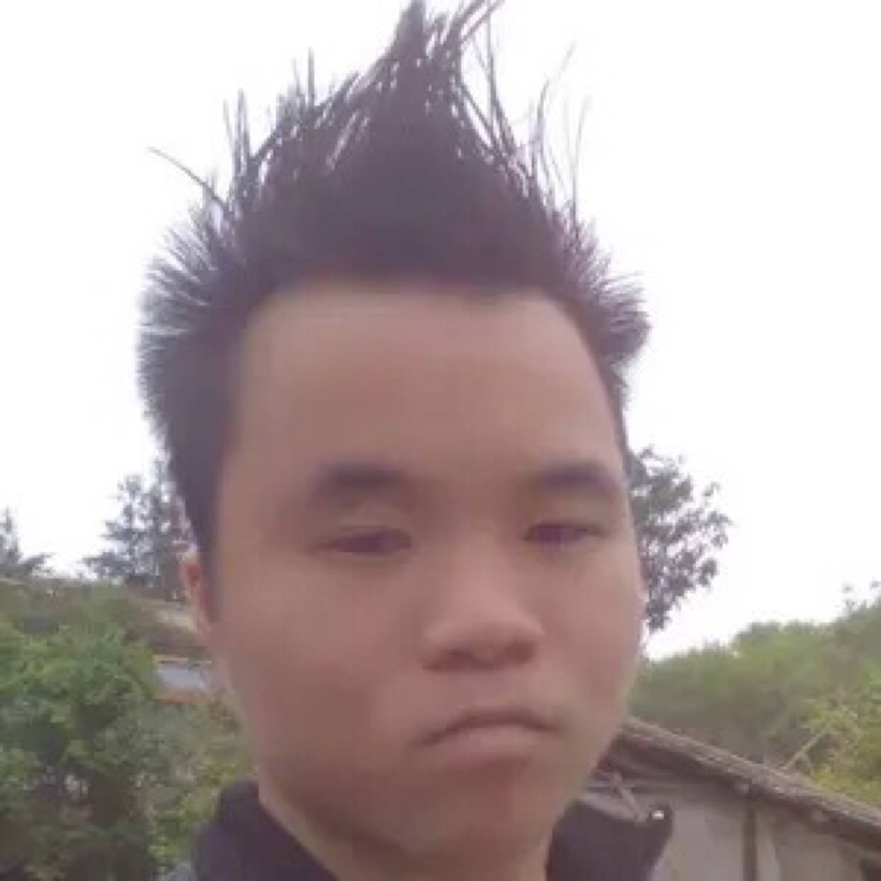 银耳汤等于懵懂的照片