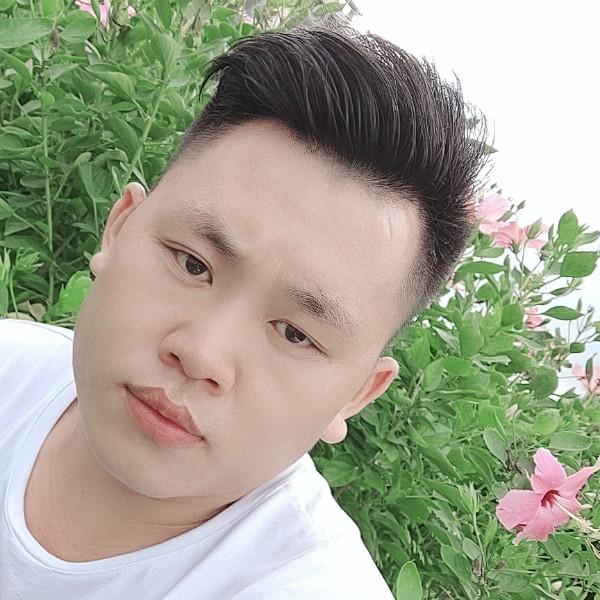 白猫蹙眉狂野的照片