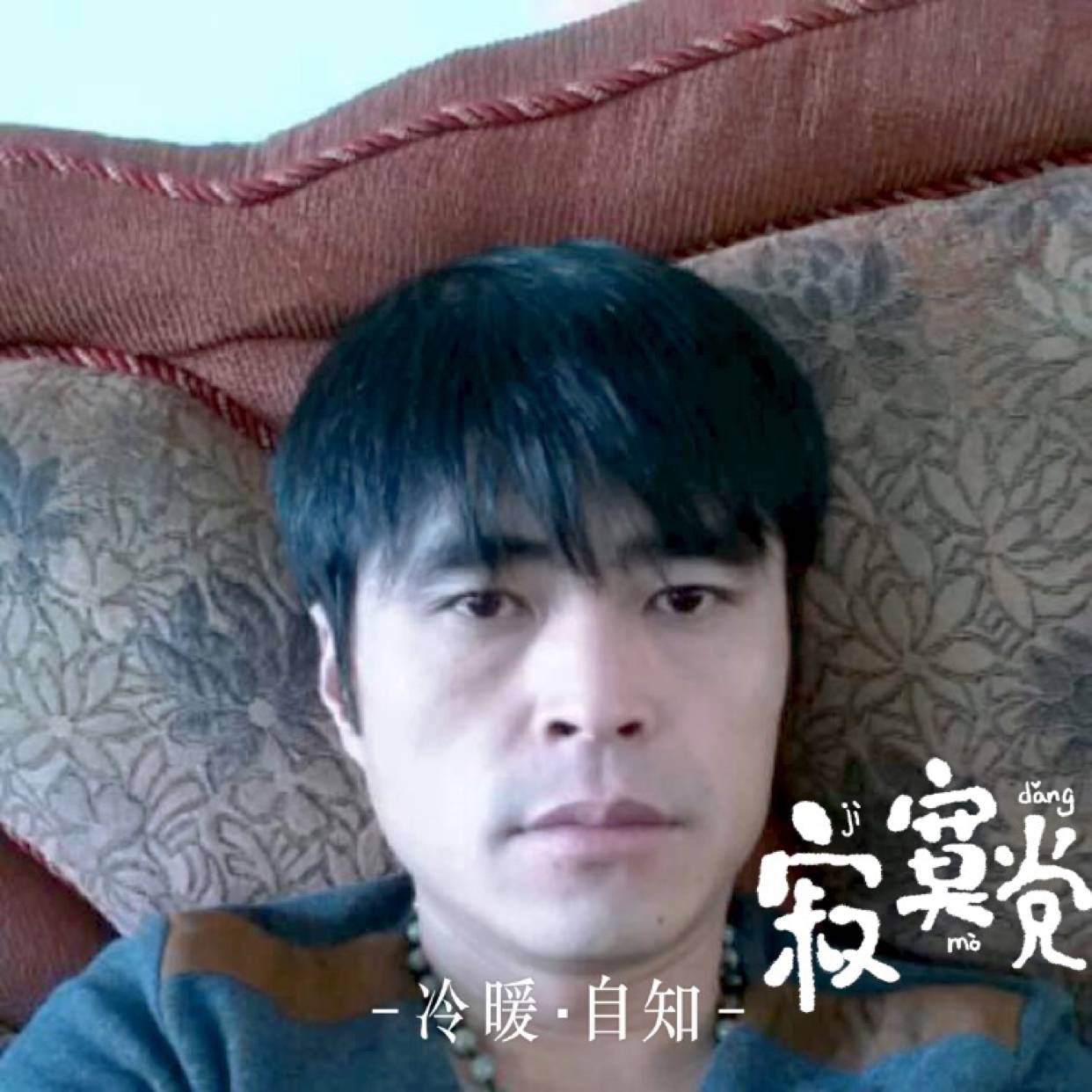 开心回眸蘩藜的照片