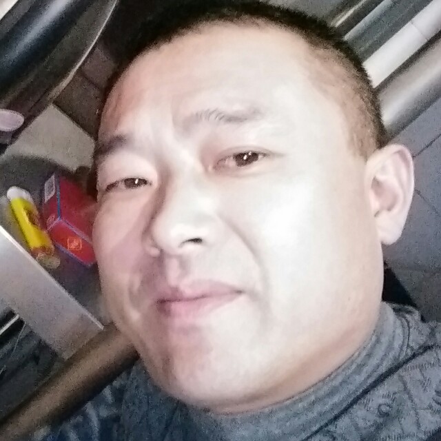 动人老鼠的照片
