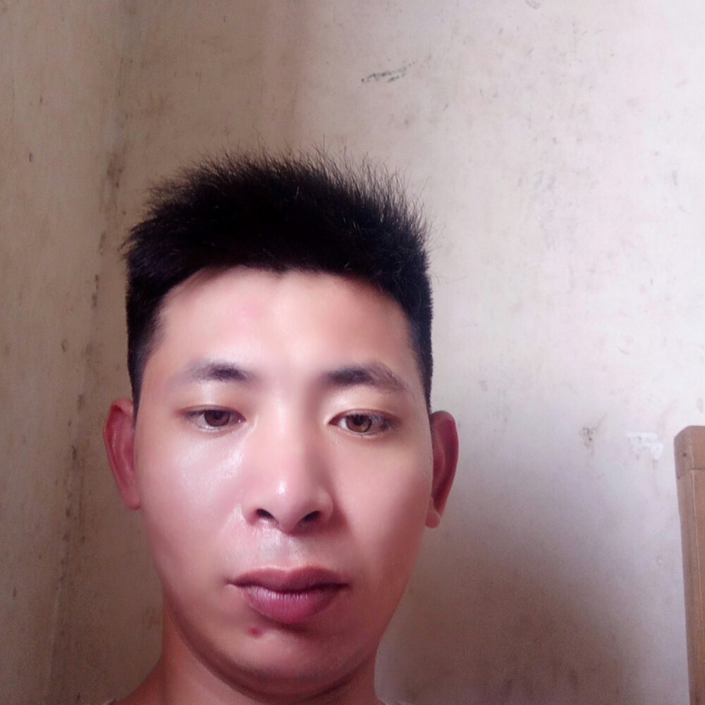 紫菜回眸大方的照片