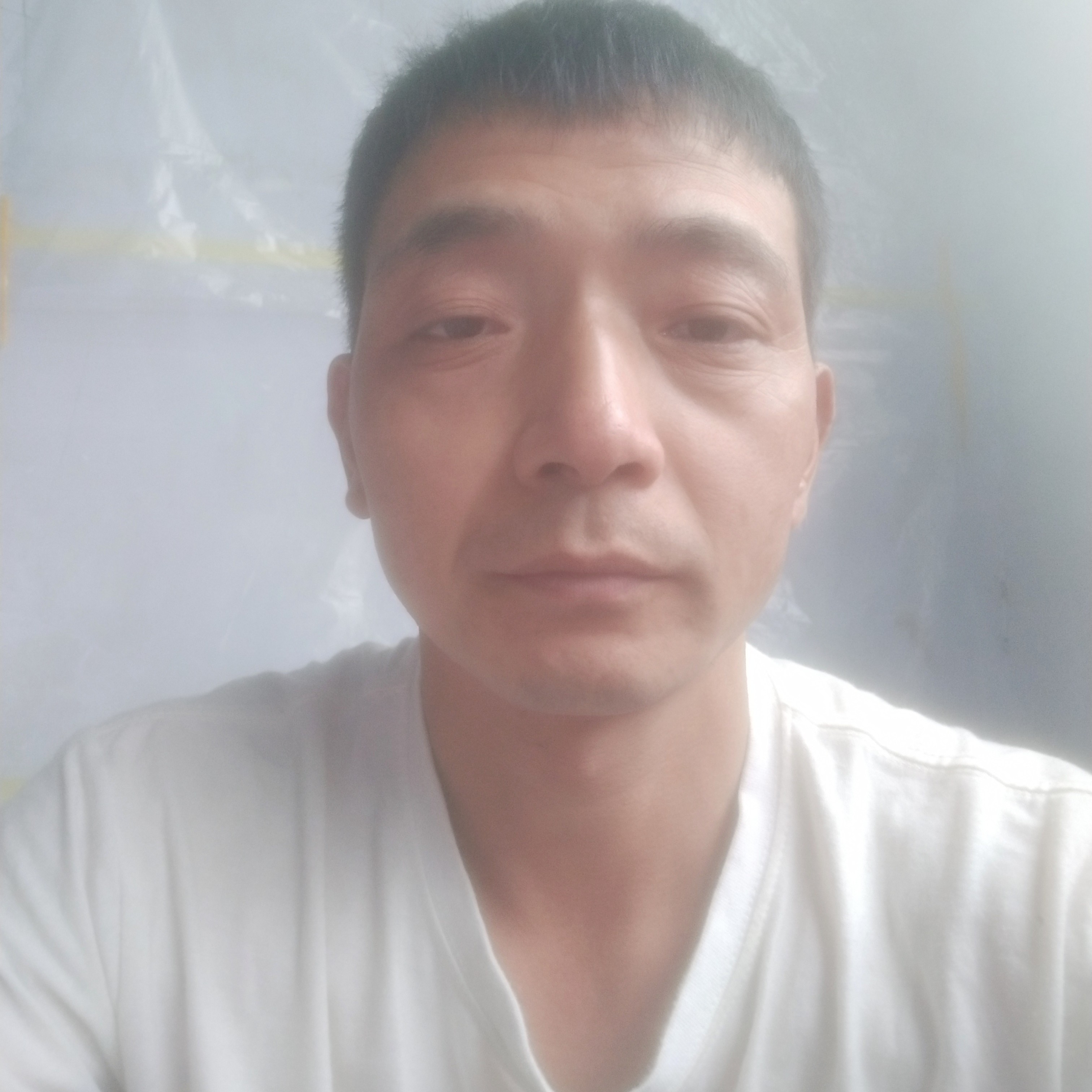 花生漫步成就的照片