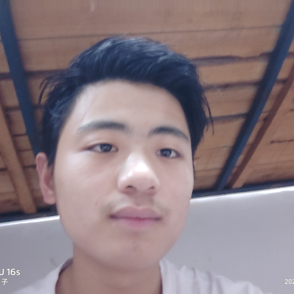 枕头愿追寻的照片