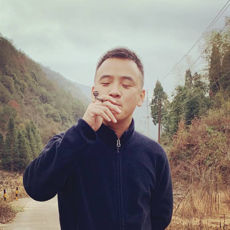 灯泡的照片