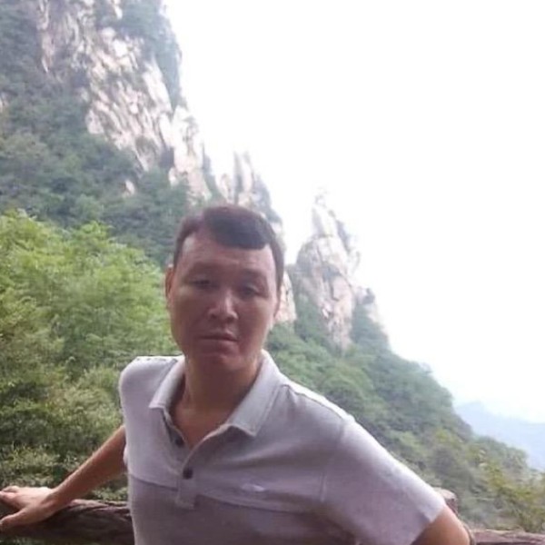 小蜜蜂殷勤的照片