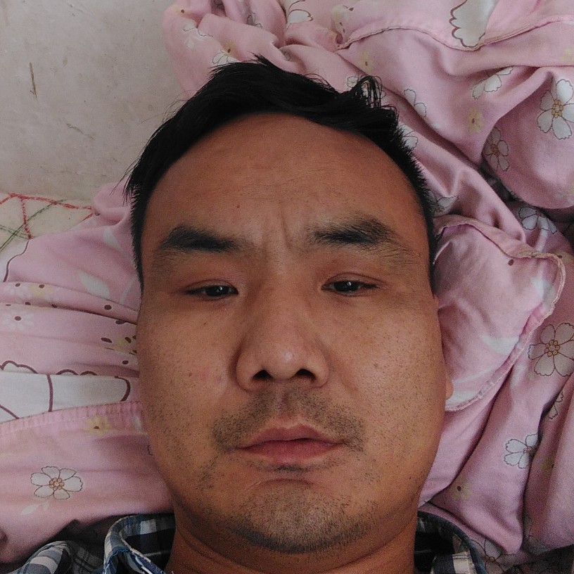 缥缈打树叶的照片