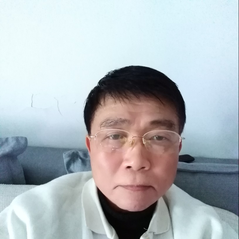 小松鼠漫步畅快的照片