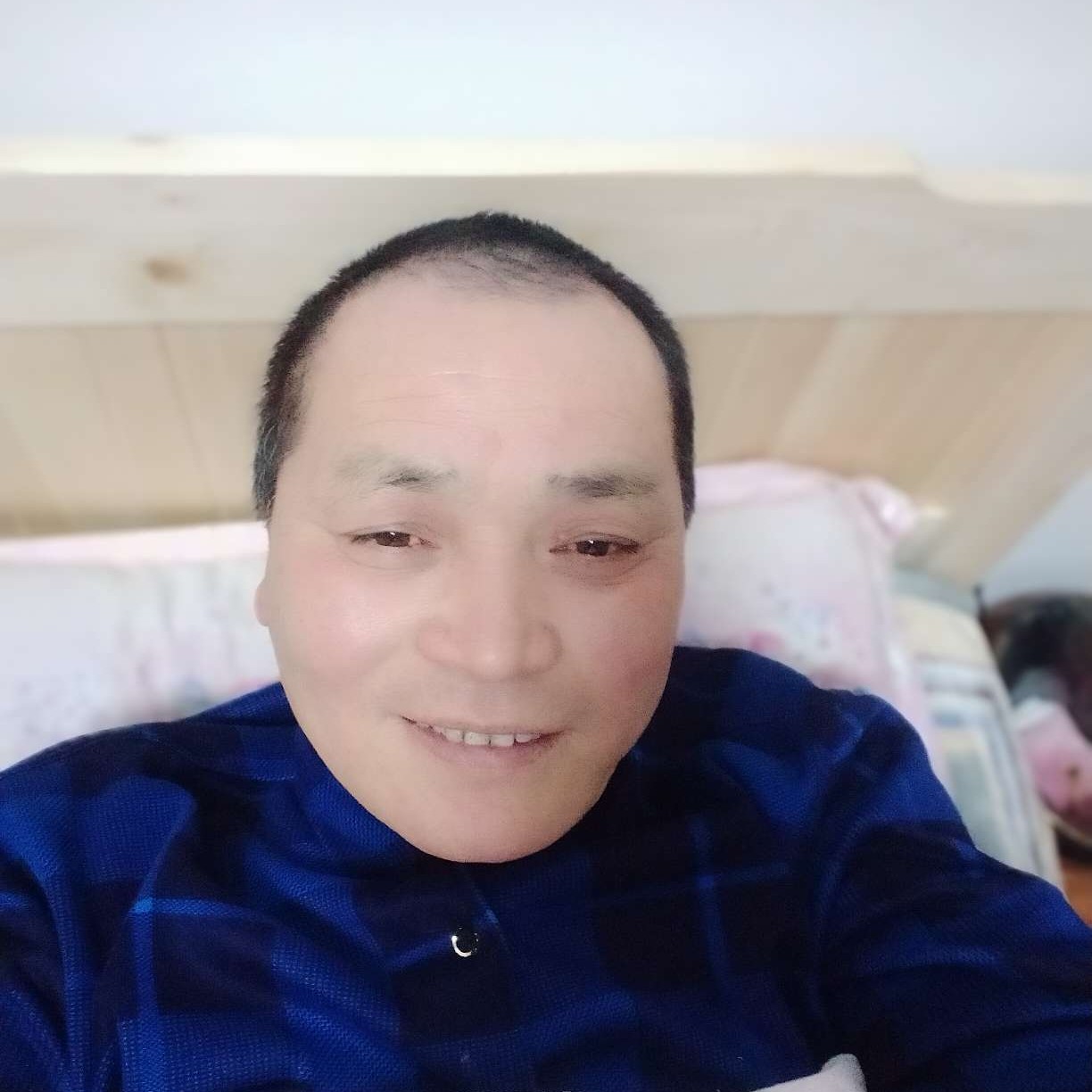 斯文倾心胡萝卜的照片