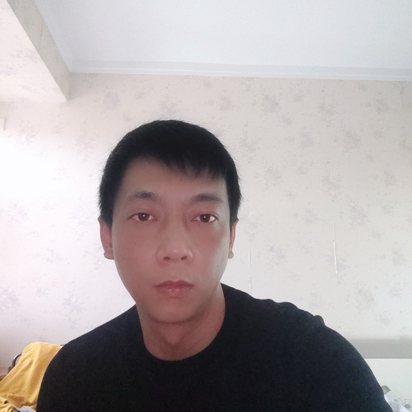 大象爱恋温柔的照片