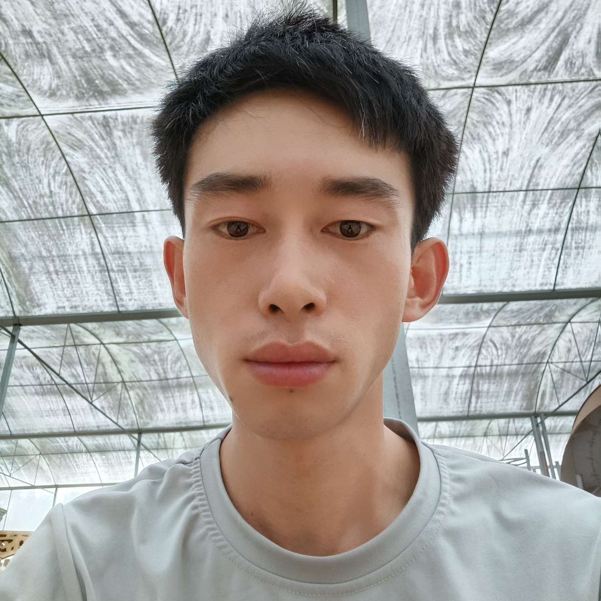 电灯胆超级的照片