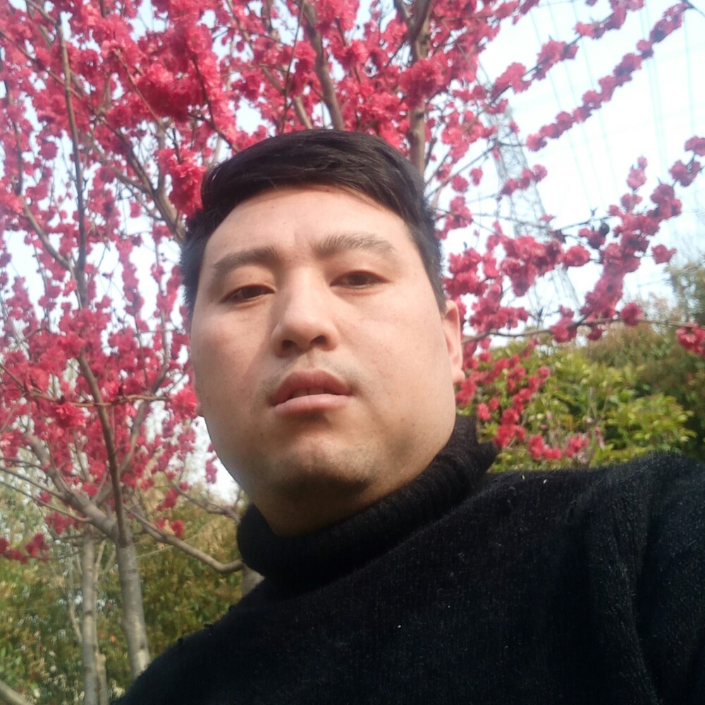 走过的路就不要回的照片