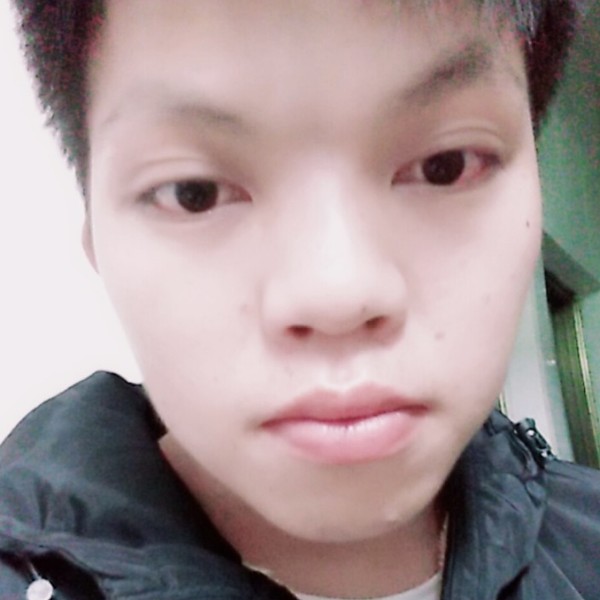 小兔子风中的照片