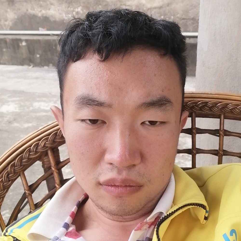 向日葵的照片