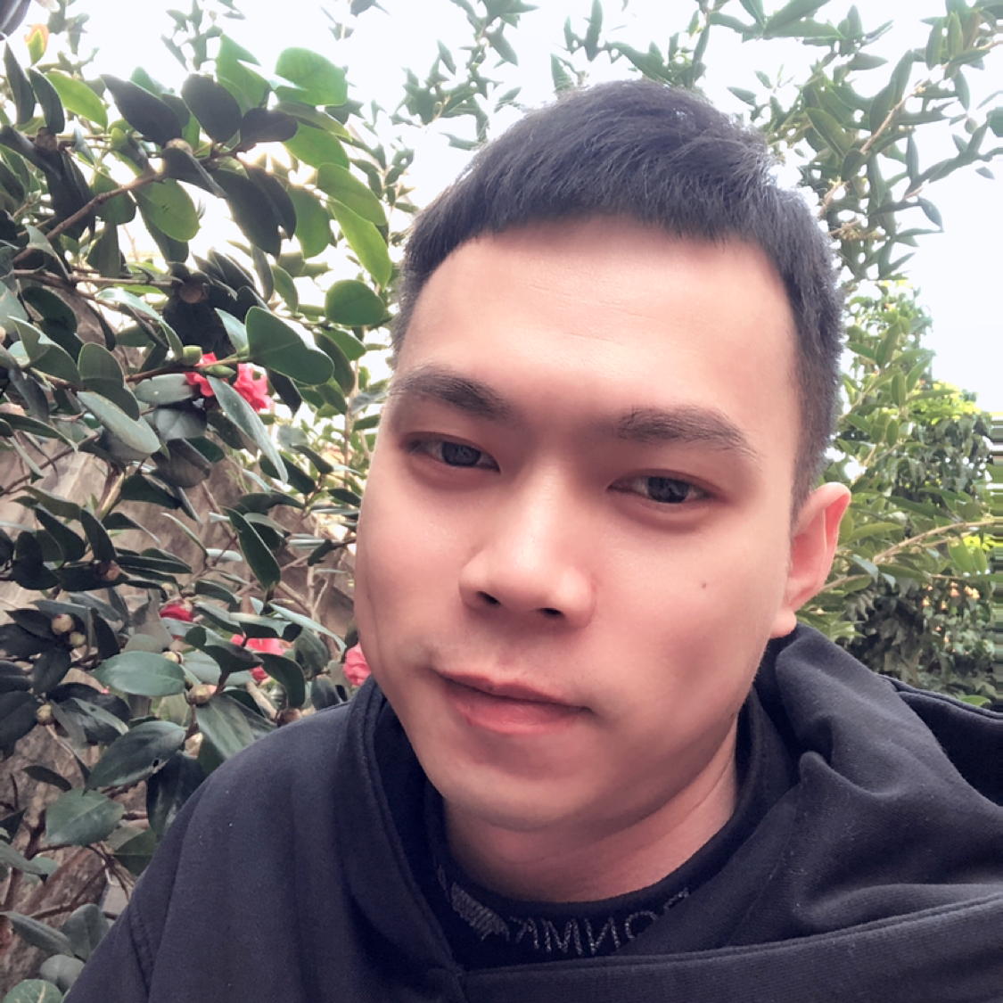 哈密瓜有纯情的照片