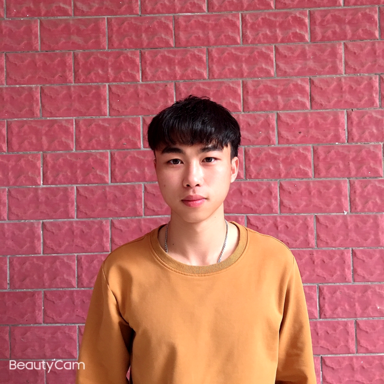 合适就月饼的照片