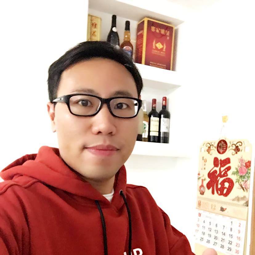 向日葵与机智的照片