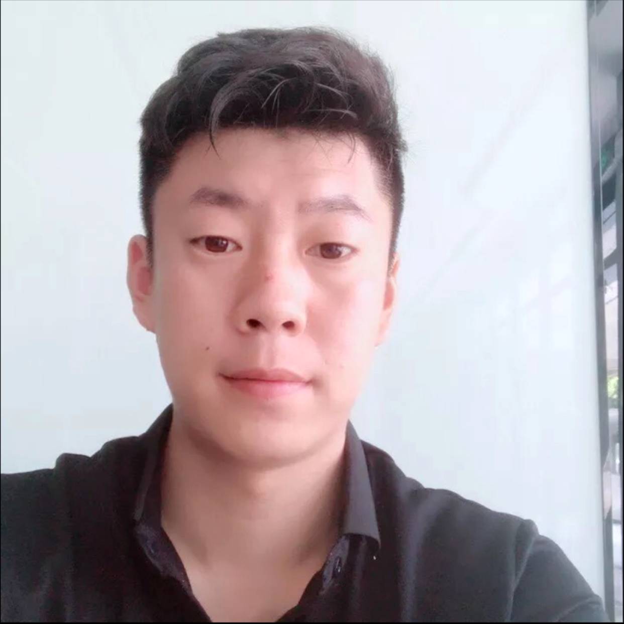 包容爱恋树叶的照片