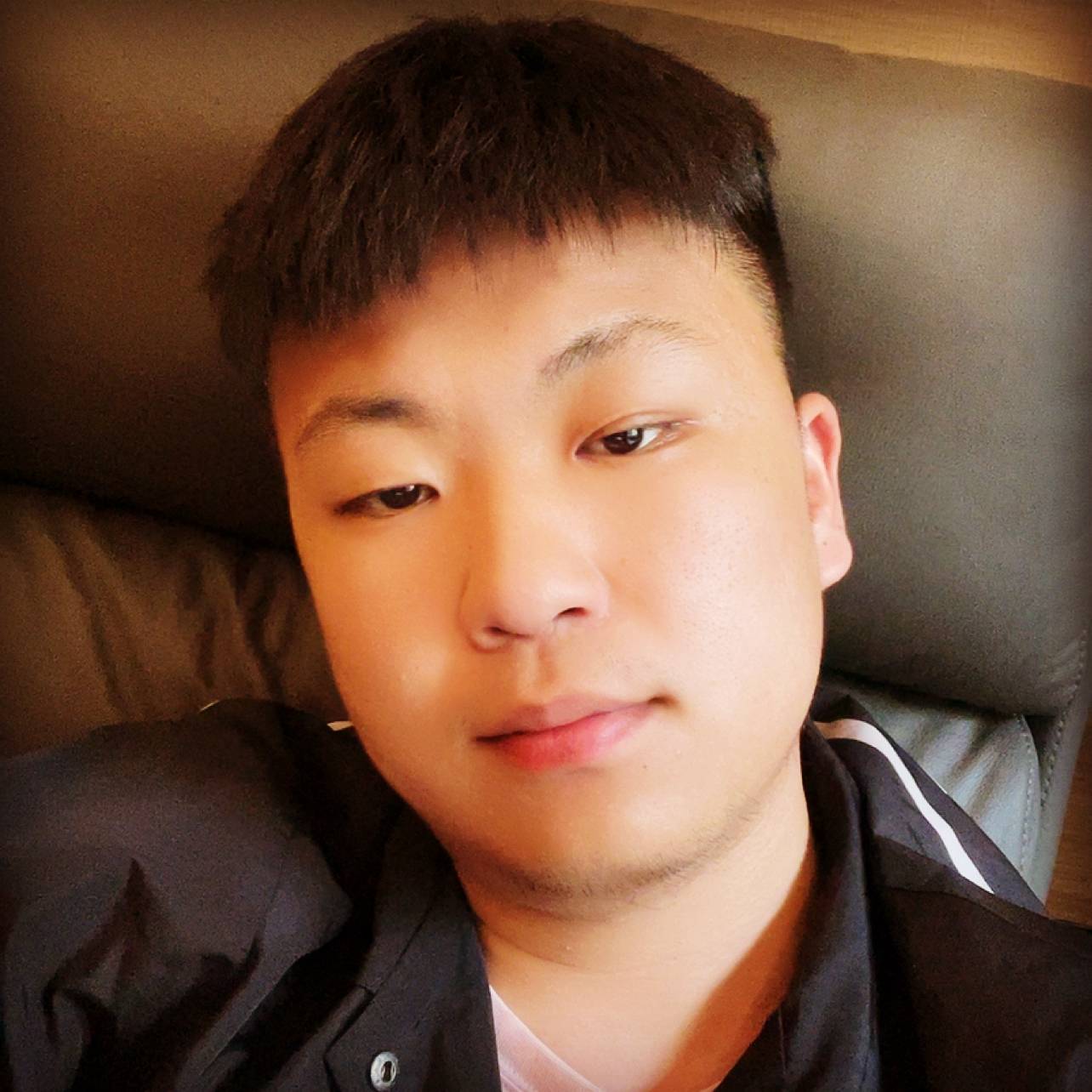 小牛爱好者的照片