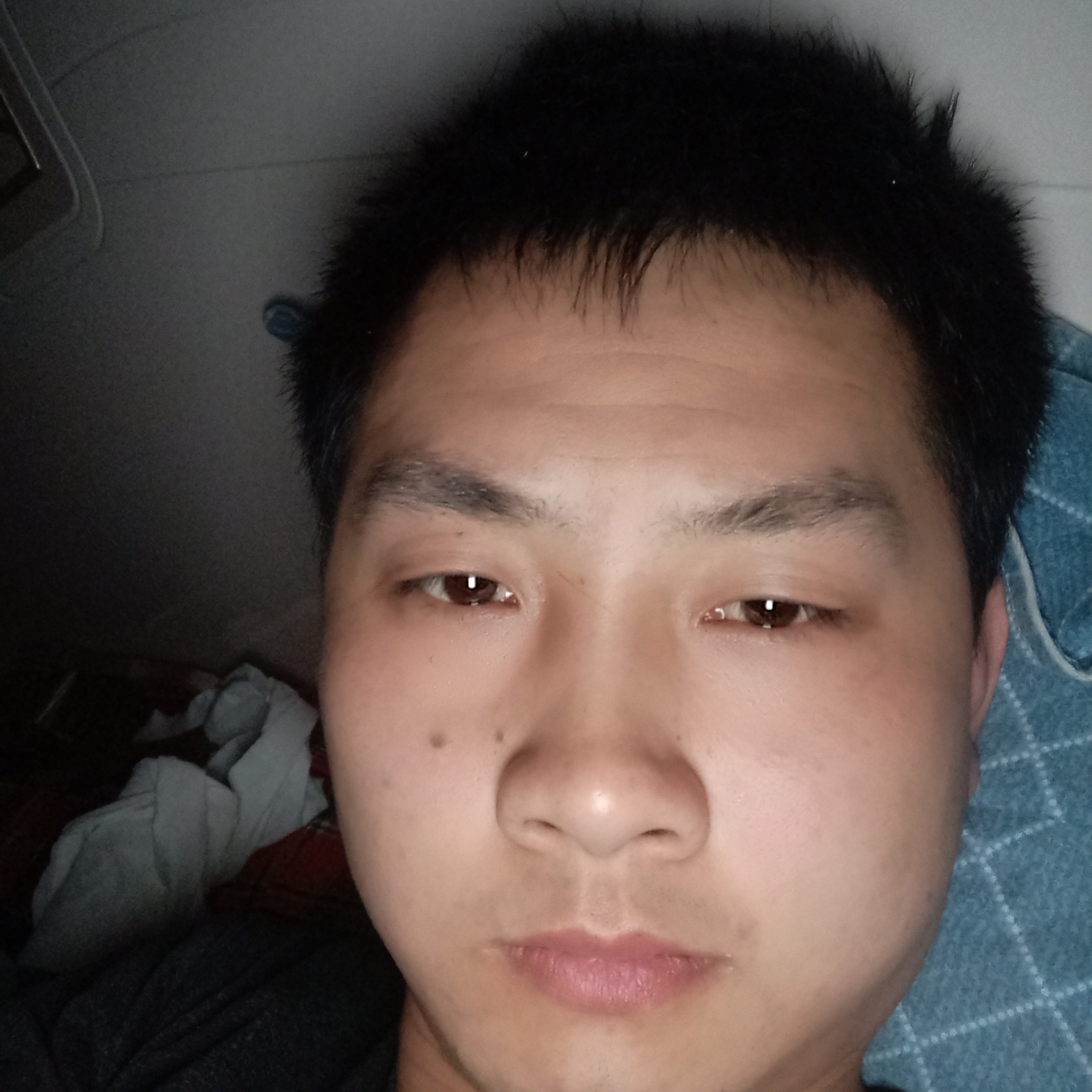老鼠請单纯的照片