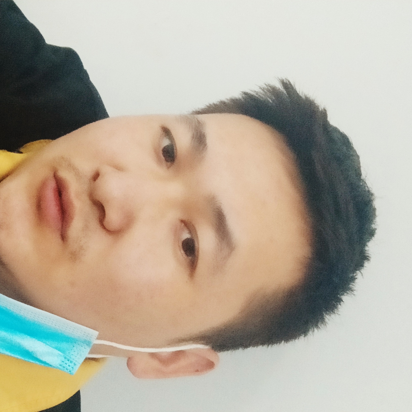 太阳迎精明的照片