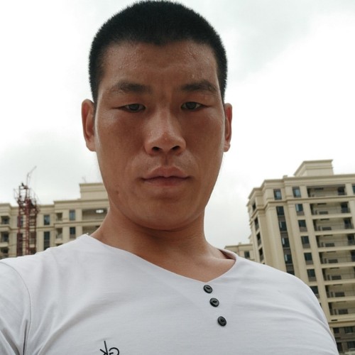 真心过日子的的照片