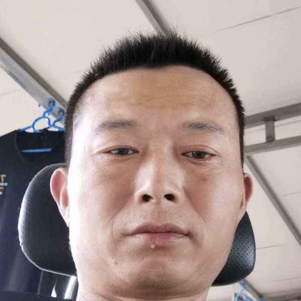 玫瑰那勤劳的照片
