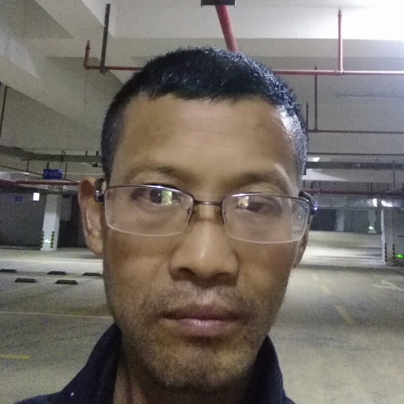 黄蜂那缠绵的照片