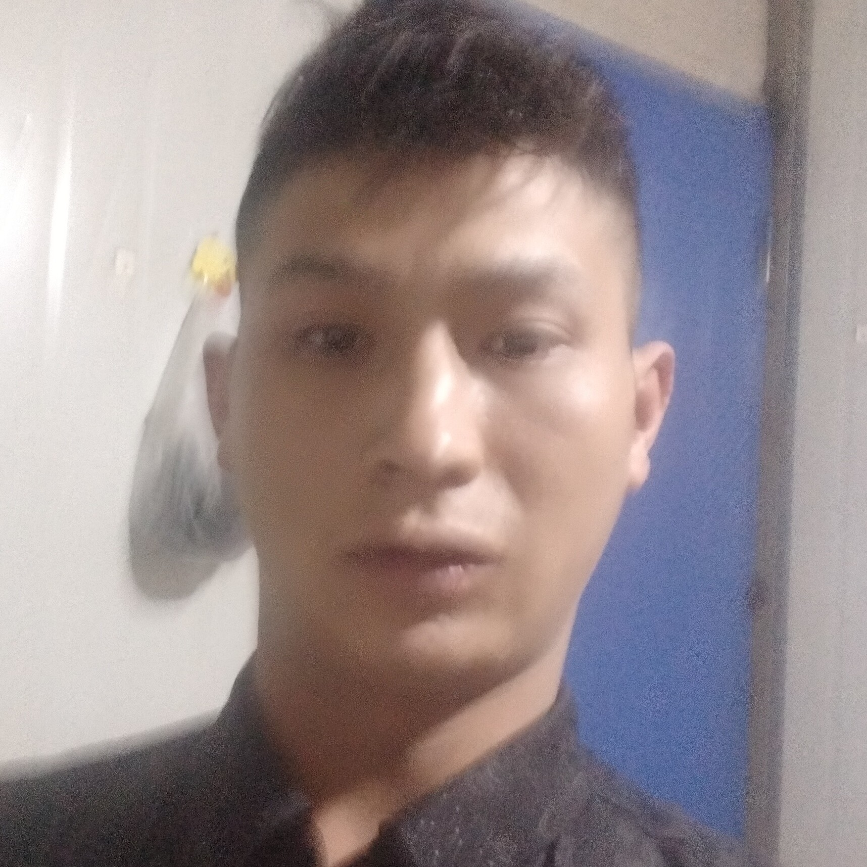 坚定拾忆凉城的照片