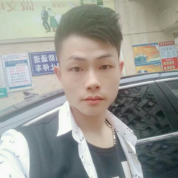 向日葵的照片