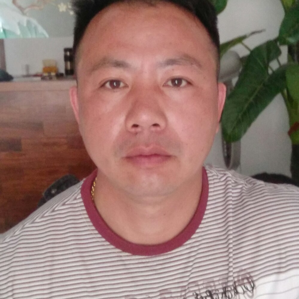 稻子熟了的照片