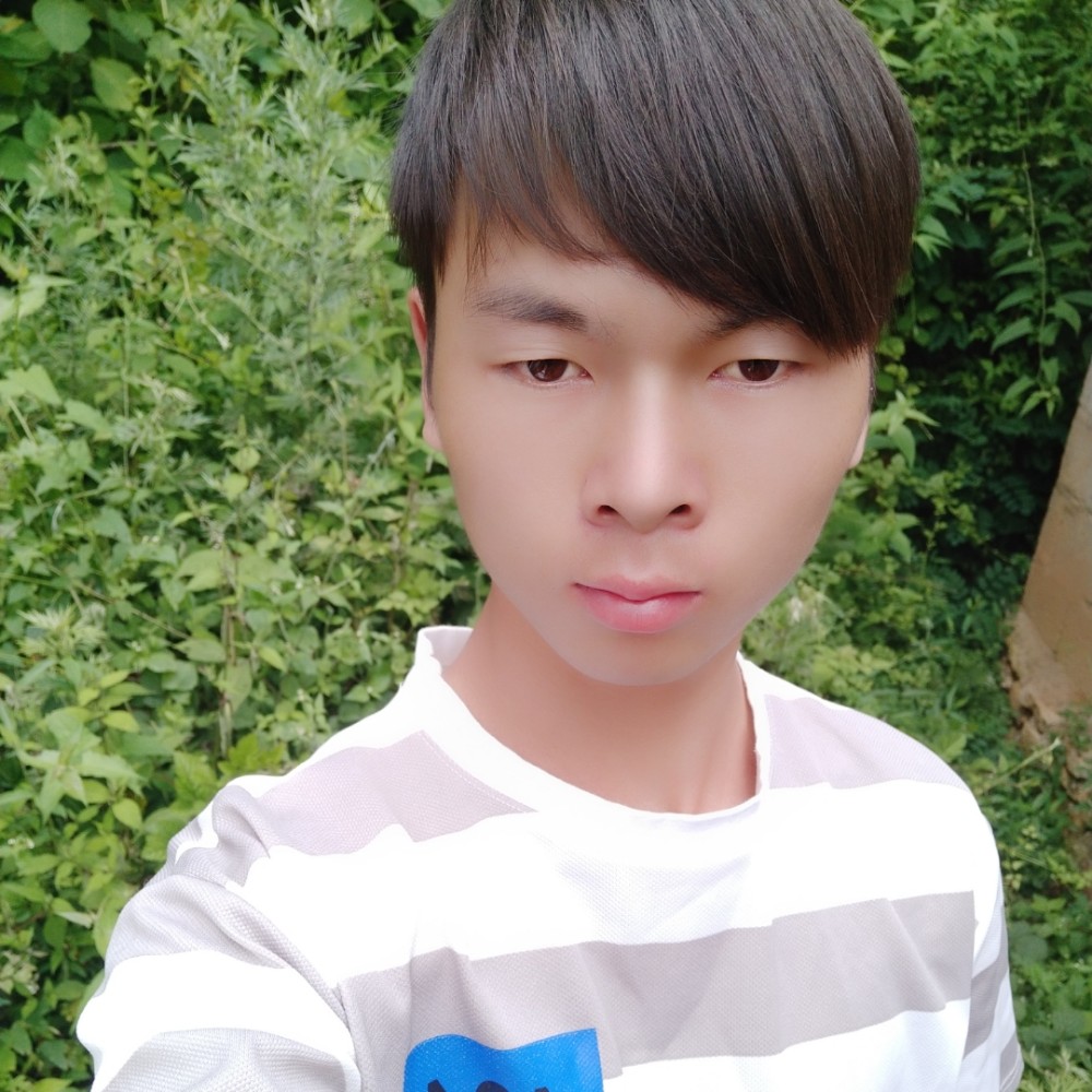 星光斑斓里遍寻的照片