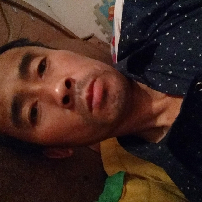 、四叶草的照片