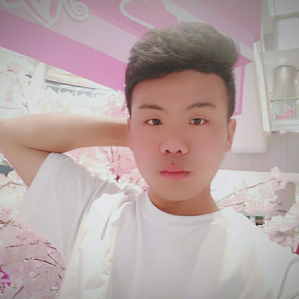 钢笔拾忆简单的照片