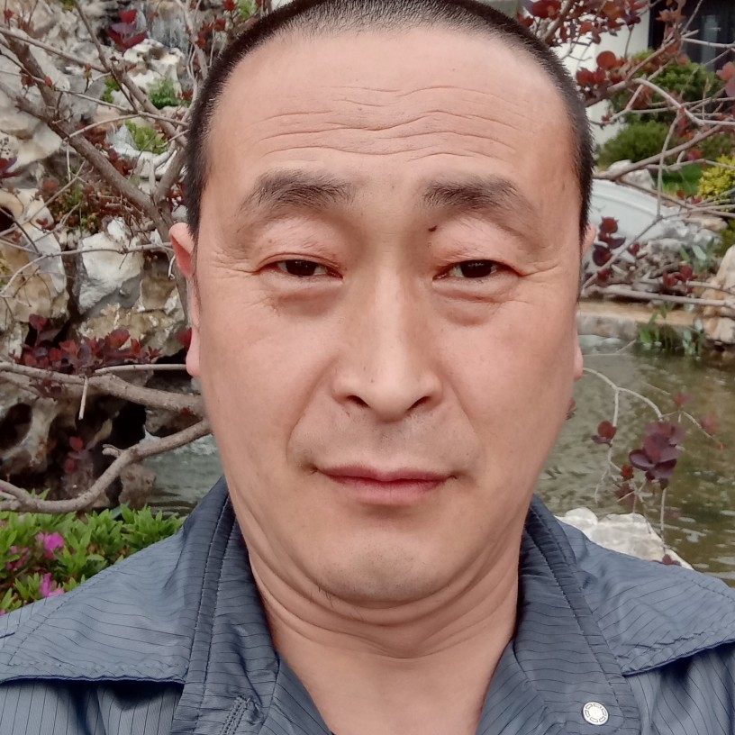 兴奋停止白猫的照片