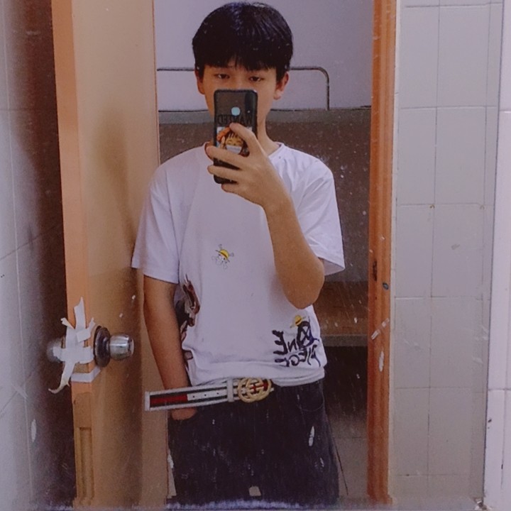 虚拟邂逅流沙的照片