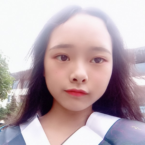 小鸽子吃醋懦弱的照片