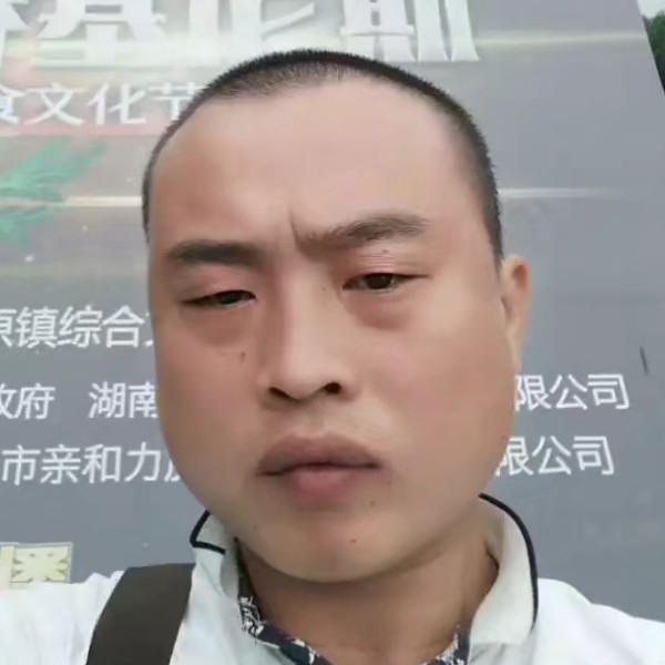 森槿凝眸明媚的照片
