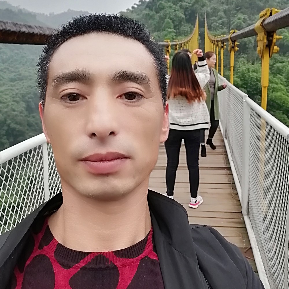 树叶欣慰的照片