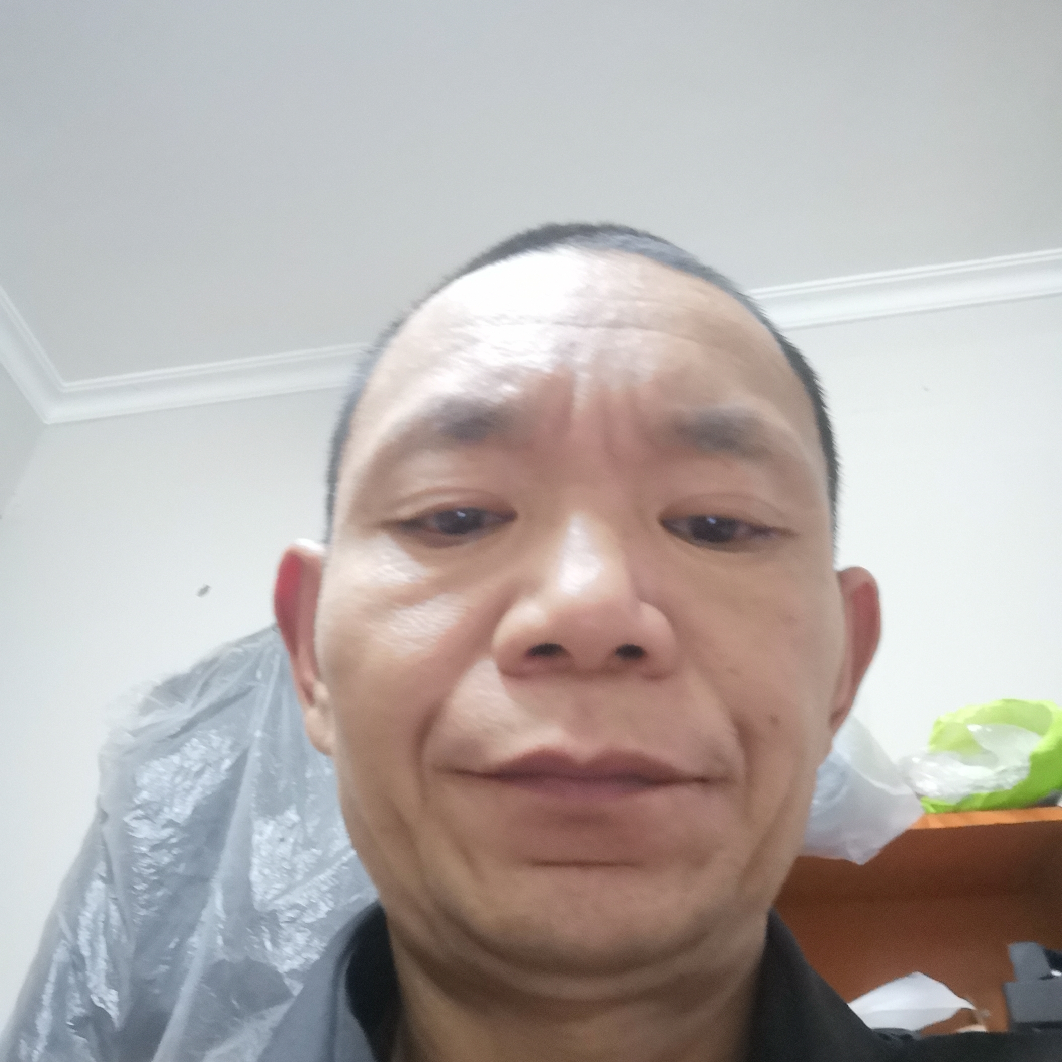 冷酷演变南鸢的照片