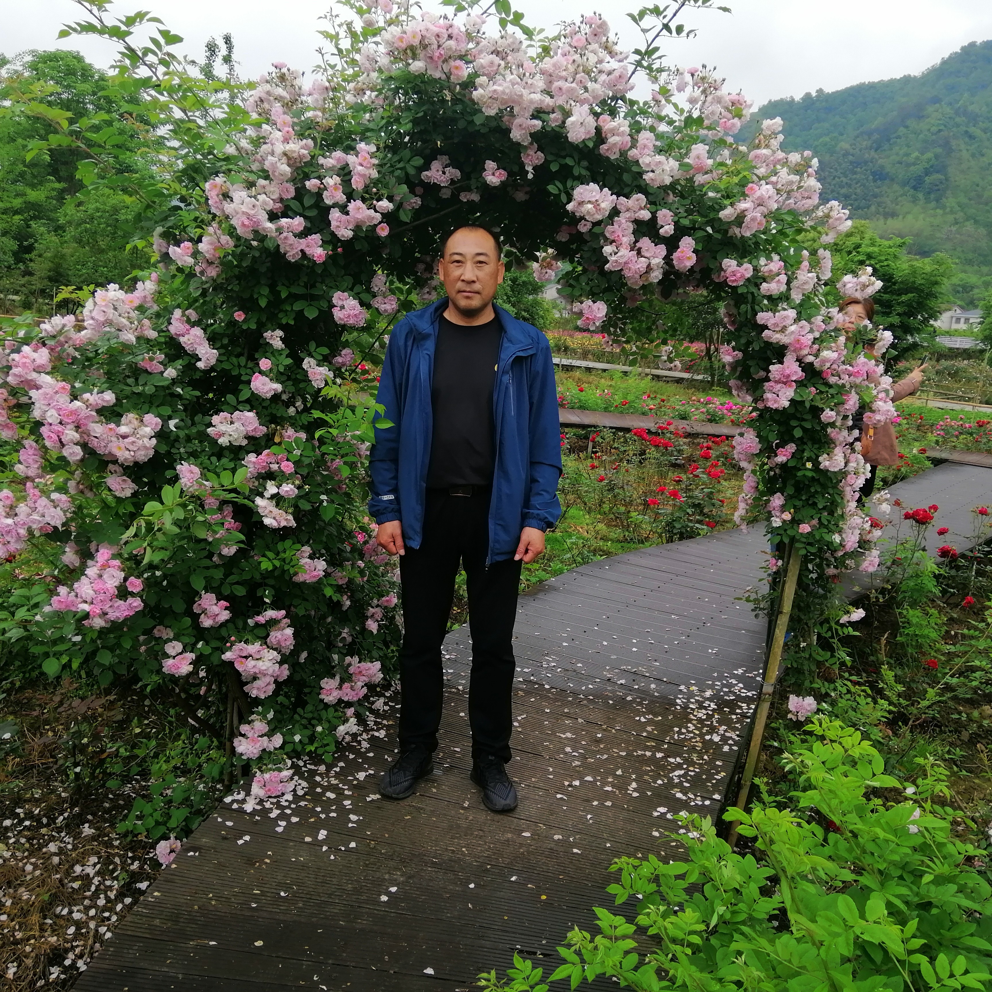 白猫暧昧577的照片