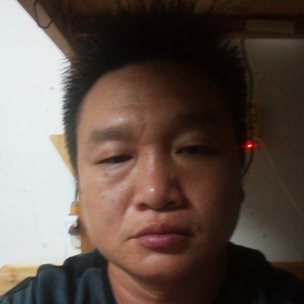 小蚂蚁忧心的照片