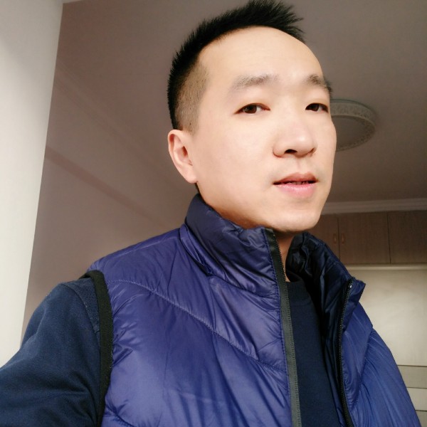 逍遥的猪的照片