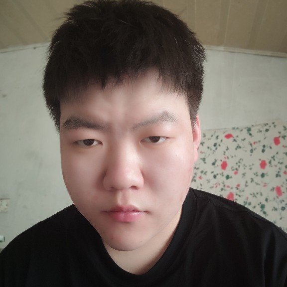 灰狼保卫细心的照片