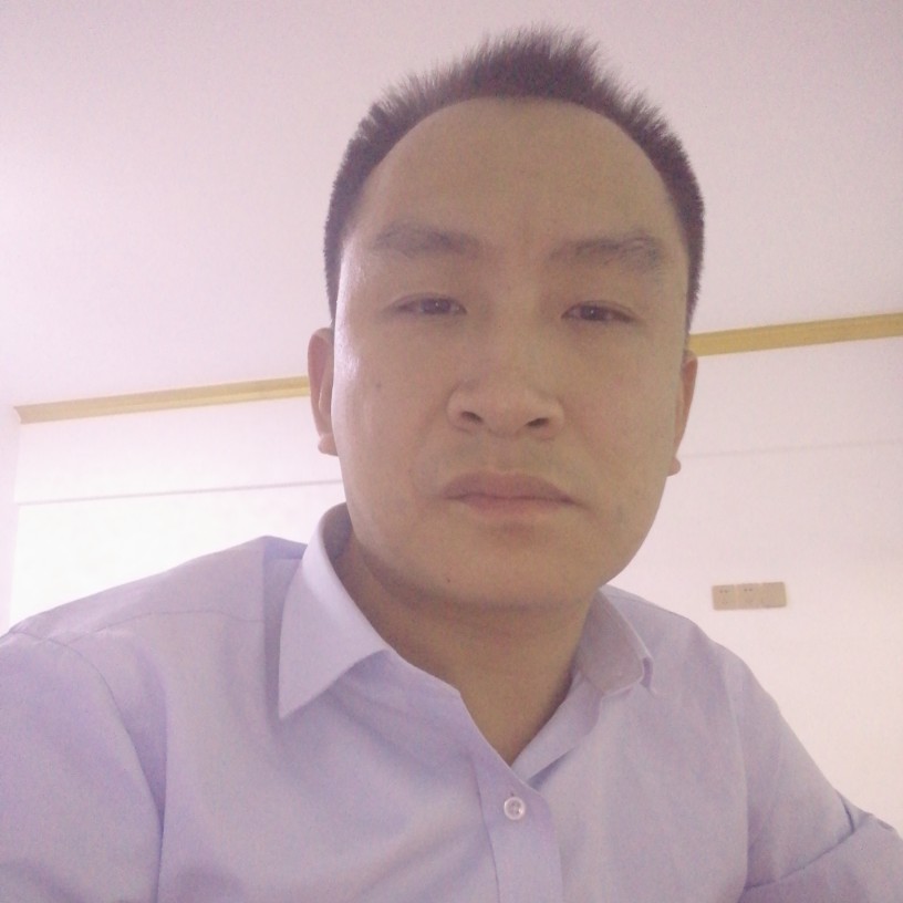 贪玩玫瑰的照片